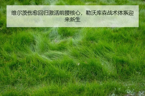 wei-er-ci-shang-yu-hui-gui-ji-huo-qian-yao-he-xin-lei-wo-ku-sen-zhan-shu-ti-xi-ying-lai-xin-sheng-3-264.jpg