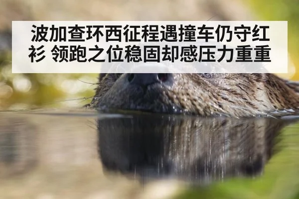 波加查环西征程遇撞车仍守红衫 领跑之位稳固却感压力重重 | YABO SPORTS